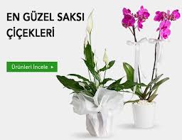 İzmir Karşıyaka Çiçekçi